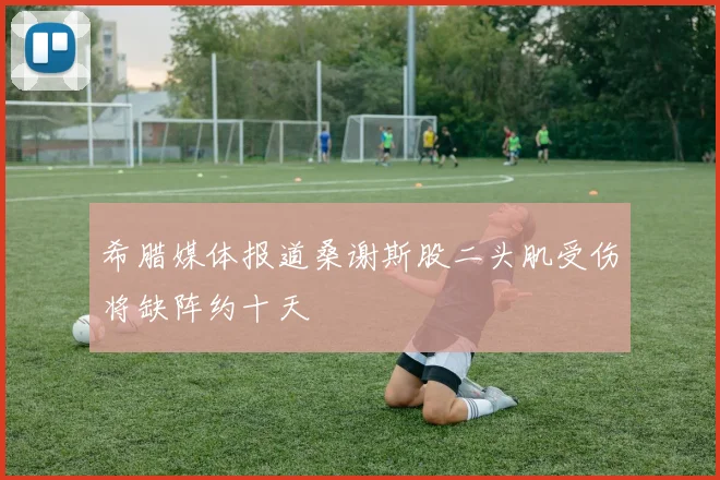希腊媒体报道桑谢斯股二头肌受伤将缺阵约十天