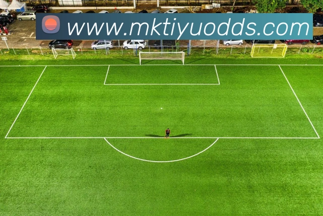 App Interface Preview