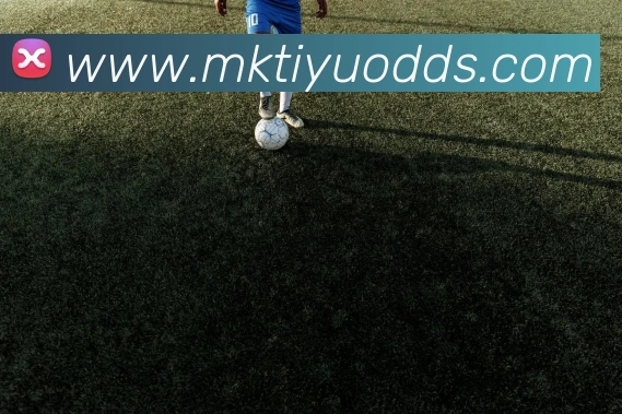 MK体育APP 封面图